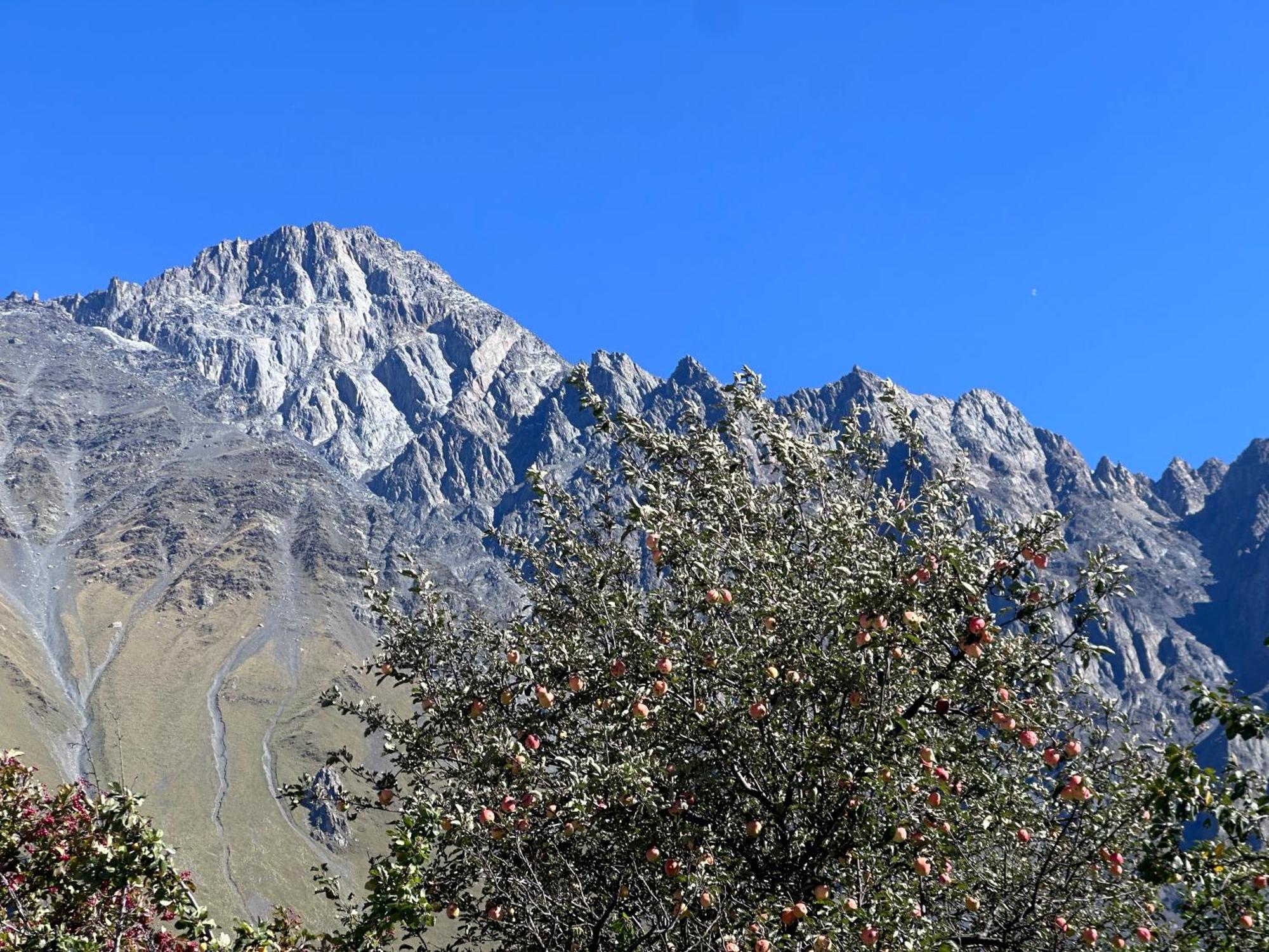 Hotel Mountime Kazbegi Eksteriør billede